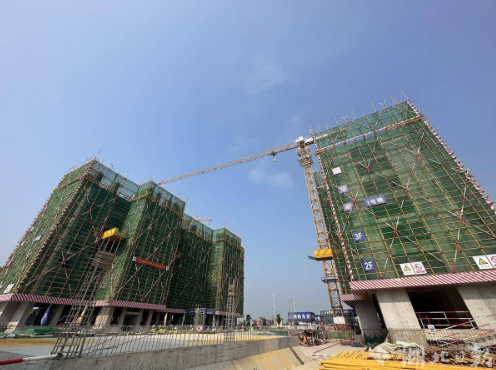 1688021597110688.png 1688021501778.png