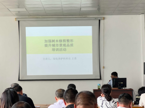 1689908455320481.png 1689908443579.png