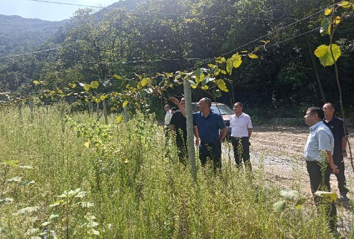 1693798066350065.png 1.png